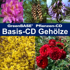 Cover Basis-CD Gehölze