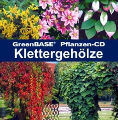 Cover Klettergehölze