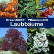 Laubbäume