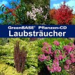 Laubsträucher