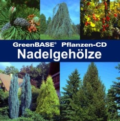 Cover Nadelgehölze